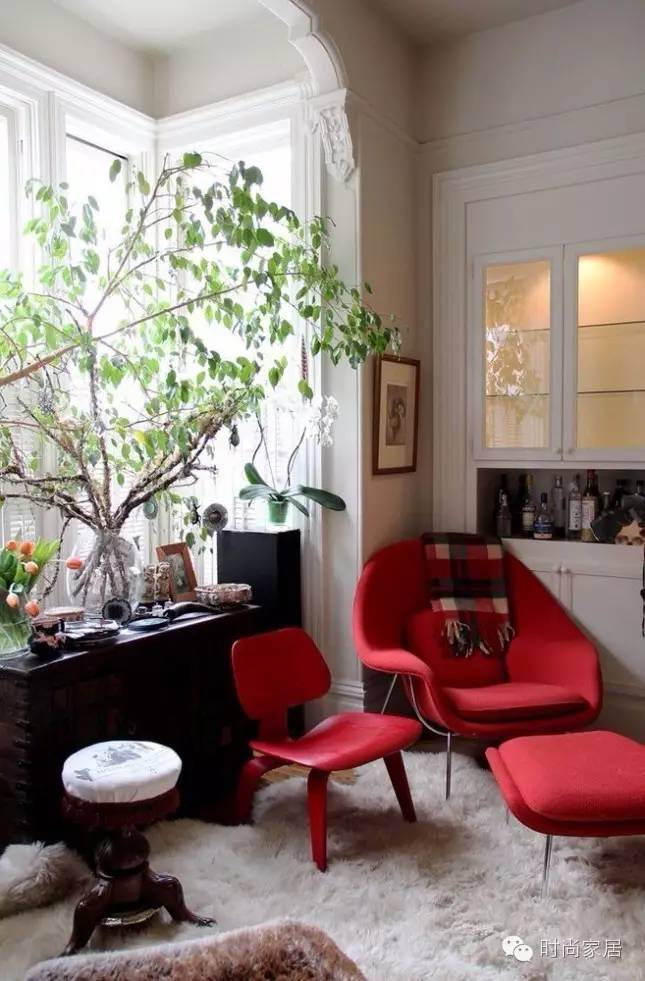 如何打造小型珍稀植物园,如何打造一个美丽的植物园