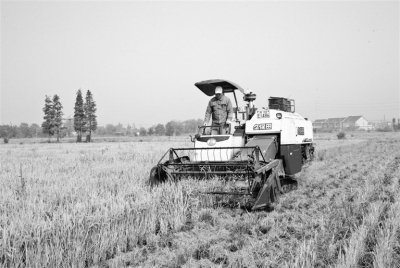 精准农业如何降低农业生产成本,如何提高农业种植的经济效益