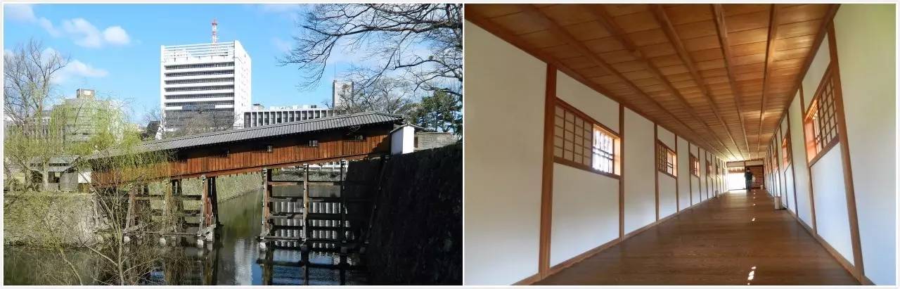 百万级帖主的“再度进击”|西日本,你不该错过这些