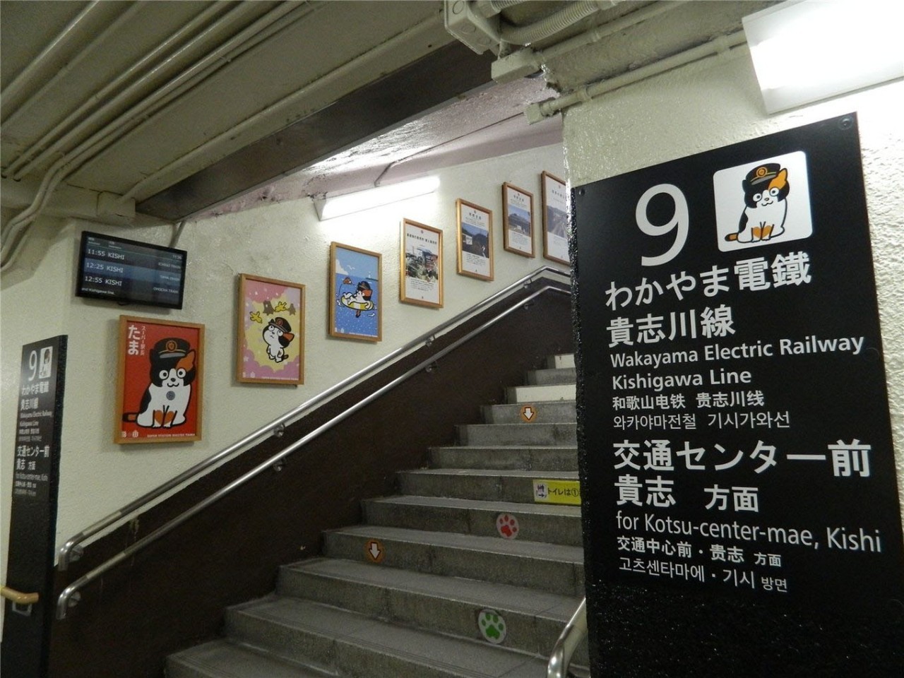 百万级帖主的“再度进击”|西日本,你不该错过这些