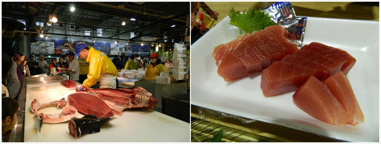 百万级帖主的“再度进击”|西日本,你不该错过这些