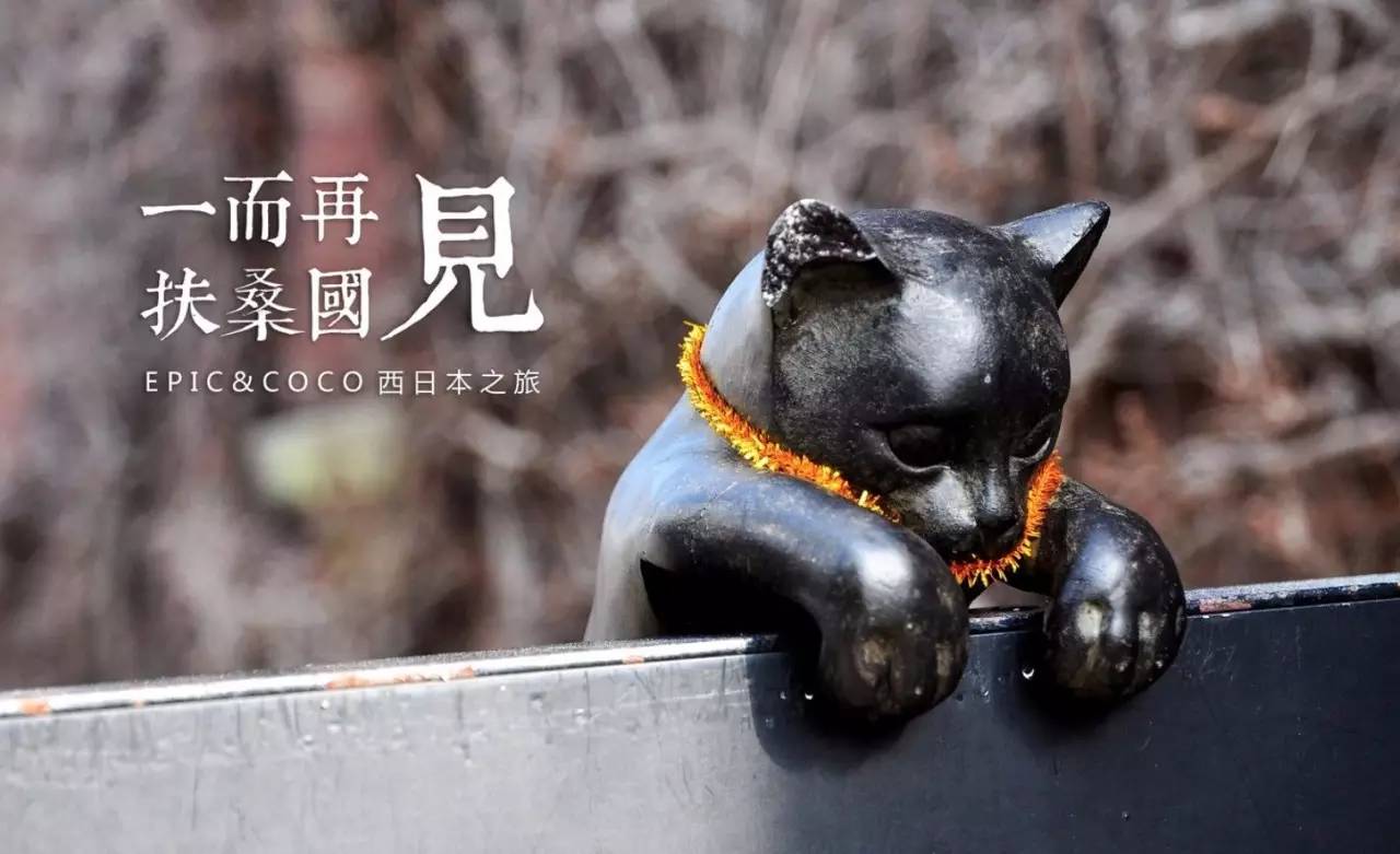 百万级帖主的“再度进击”|西日本,你不该错过这些