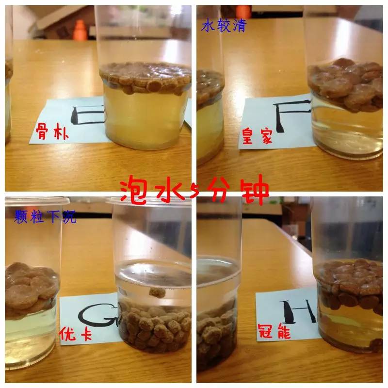 推荐几款好狗粮,2023热门狗粮测评