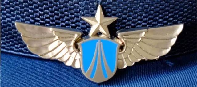 中国空军胸标高清图,新的空军胸标