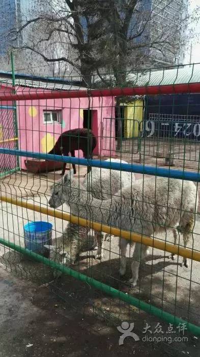 沈阳游玩攻略两天一夜带孩子,沈阳周末游玩好去处