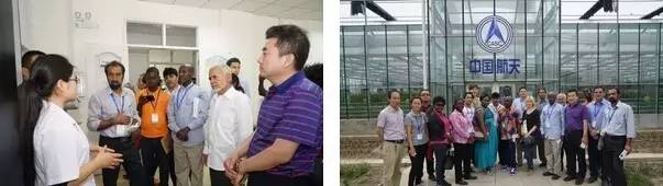 澳佳腐植酸功能肥四位一体,澳佳生态腐殖酸功能肥缺点