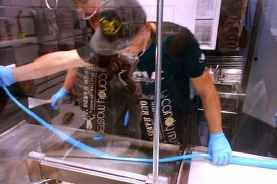 青岛这些明星店你都去过吗?寻味你最喜欢的那一家