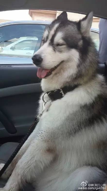 走到流浪的尽头，落入你的温暖怀抱