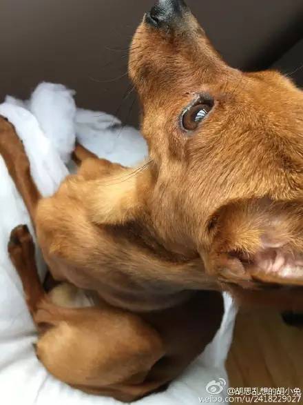 走到流浪的尽头，落入你的温暖怀抱