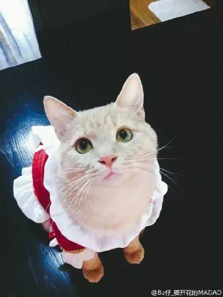 走到流浪的尽头，落入你的温暖怀抱