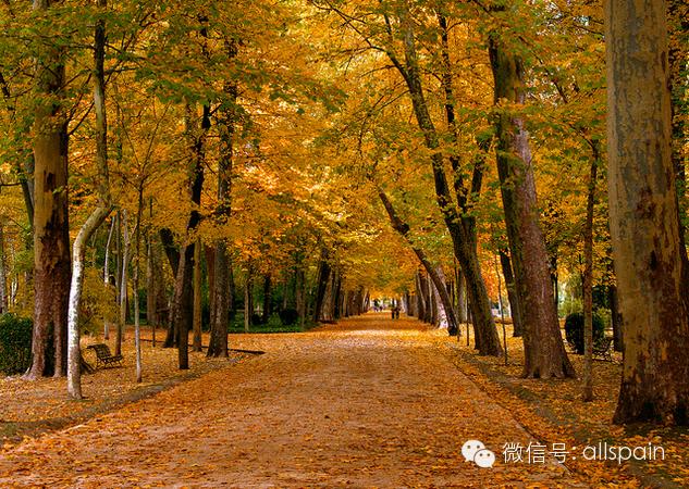 马德里的正确打开方式¡HalaMadrid！