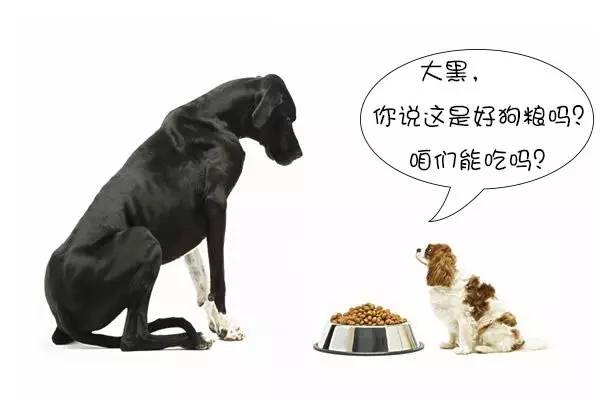 怎么辨别狗粮是散装,狗粮买哪种包装好