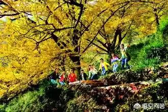 贵州六盘水好玩地方推荐,贵州六盘水处于什么位置