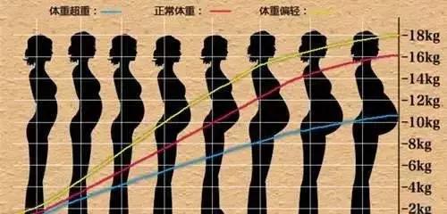 怀孕期间孕妇身体有什么变化,孕妇怀孕穿内衣的变化过程