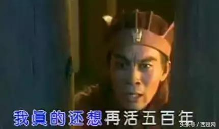 2岁娃输错密码苹果手机停用47年,iphone被孩子多次输错密码三小时