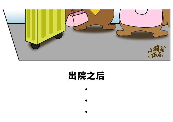 【纯母乳喂养】喂水VS不喂水,到底该听谁的?