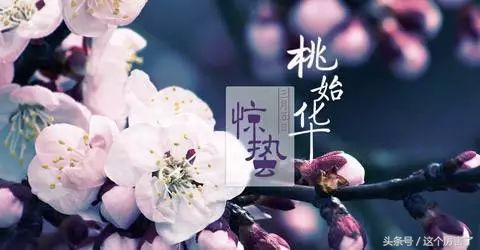 今日惊蛰节气高清图片,今日节气惊蛰万物苏醒