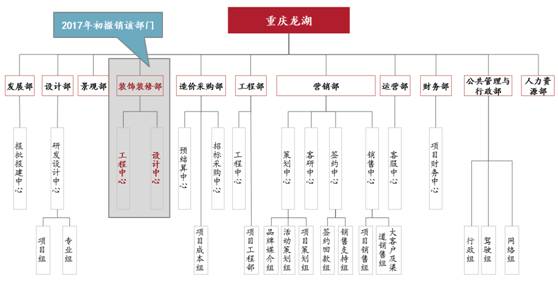 绿城万科龙湖什么特点,绿城精装修质量怎么样