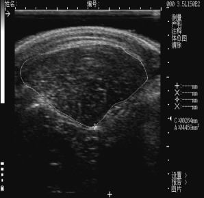 强烈安利视频大全,墙裂安利种草系列