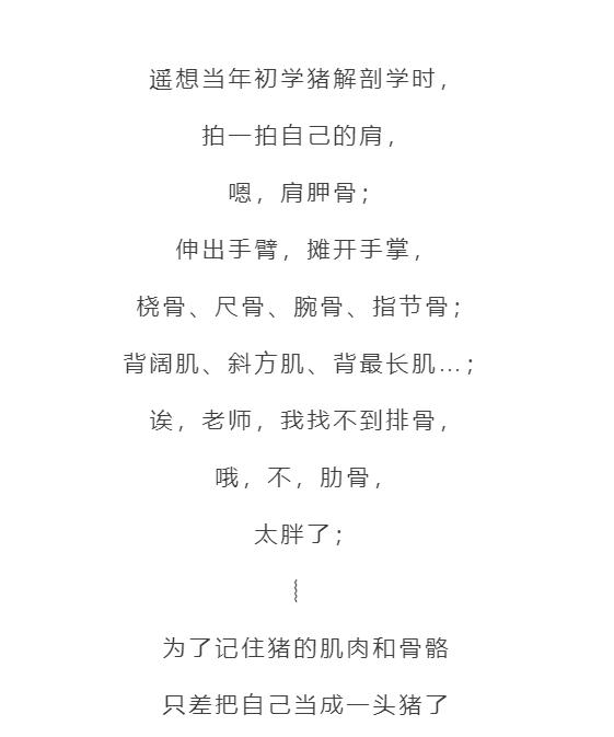 强烈安利视频大全,墙裂安利种草系列