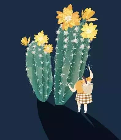 老了又怎样,老了怎么样