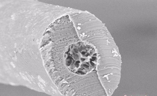 浙大发明的北极熊毛衣多少钱,黑科技仿生羽绒材料