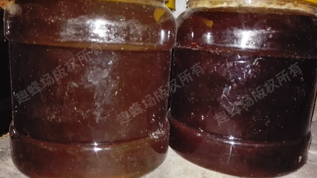 蜜蜂养殖技能培训内容有哪些,蜜蜂养殖专业技术培训