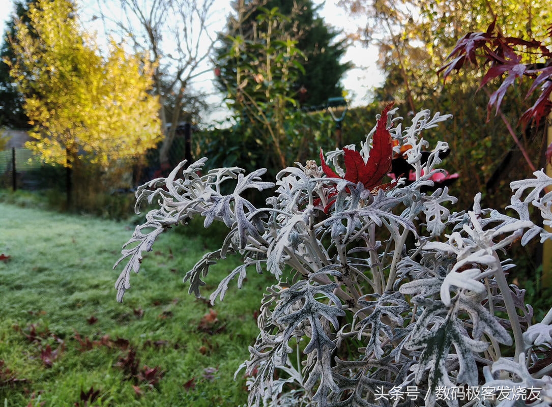雷蛇手机一代评测,最新款雷蛇手机