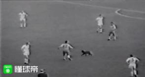 俄罗斯经典世界杯,俄罗斯倒计时10秒