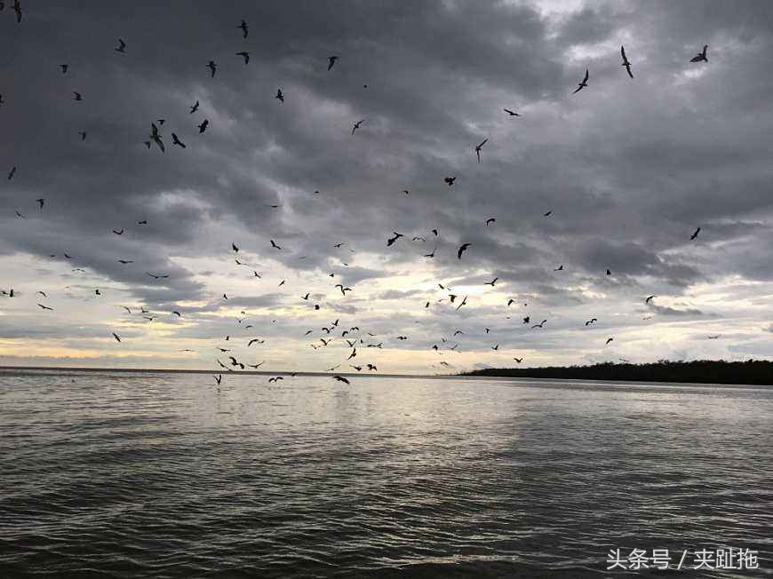 马来西亚魅力所在，告诉你马来西亚海岛如何选择攻略-西马海岛篇