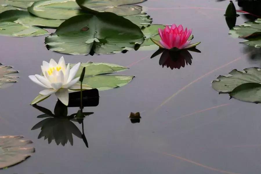 戒色心得：关于长期戒色后“突然失败”的研究……