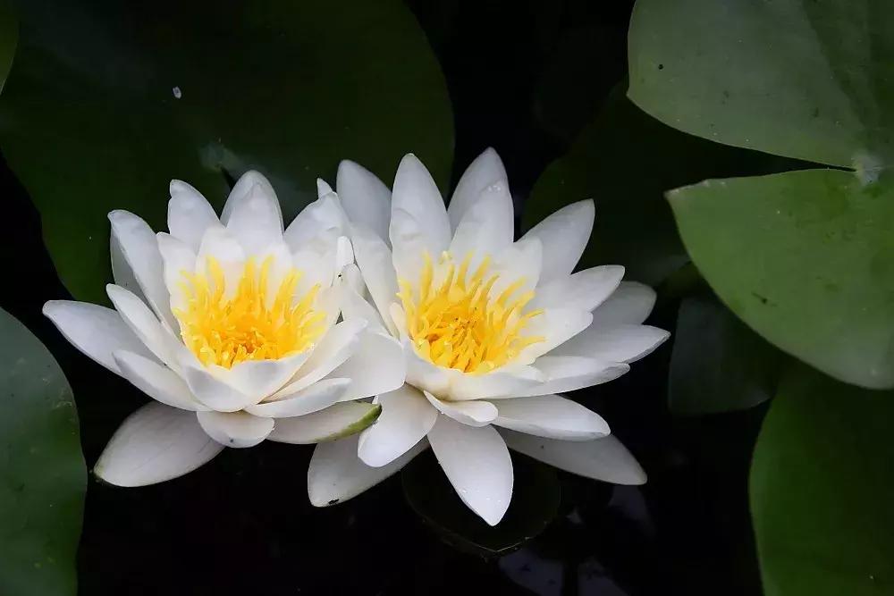 戒色心得：关于长期戒色后“突然失败”的研究……