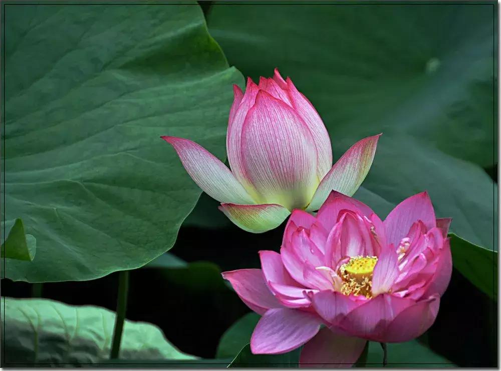 戒色心得：关于长期戒色后“突然失败”的研究……