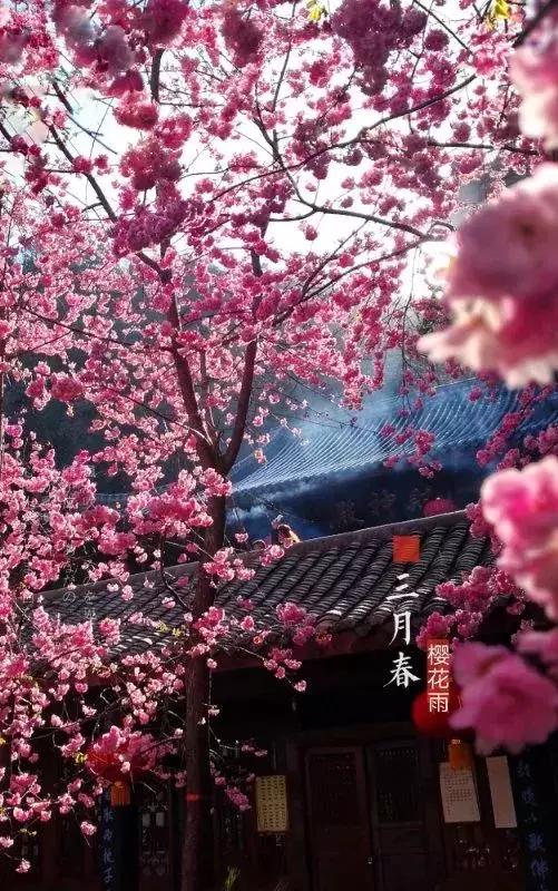 手机摄影作品周末篇赏析,手机拍100个高逼格摄影作品