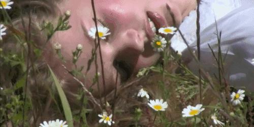 颠覆你常识的英语冷知识,三分钟教你一个冷知识英语