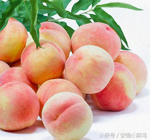 滋补佳品甲鱼炖鸡做法,甲鱼滋补佳品的做法