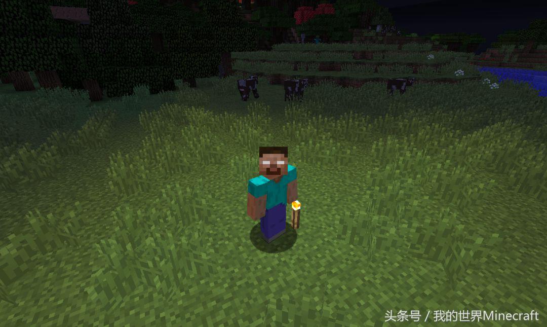 我的世界怎么将自己变成him,我的世界怎么让自己变成him的指令