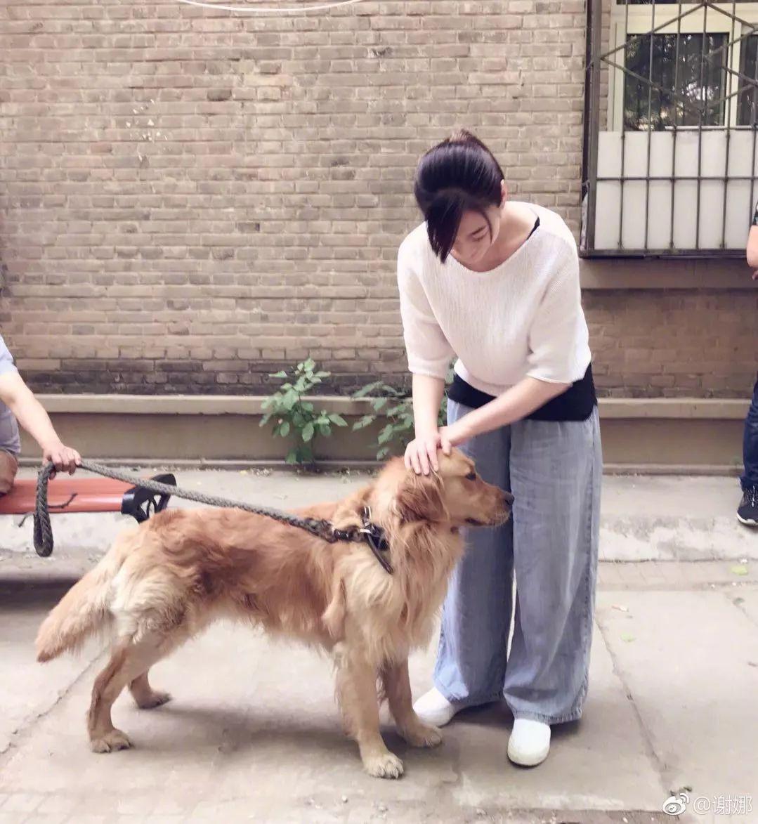 李小冉闺蜜谢娜,李小冉和谢娜的闺蜜情