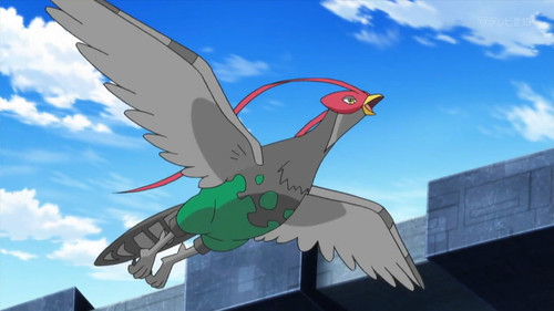 老白杂谈：盘点Pokémon之主角小智障的胜率分析（一）