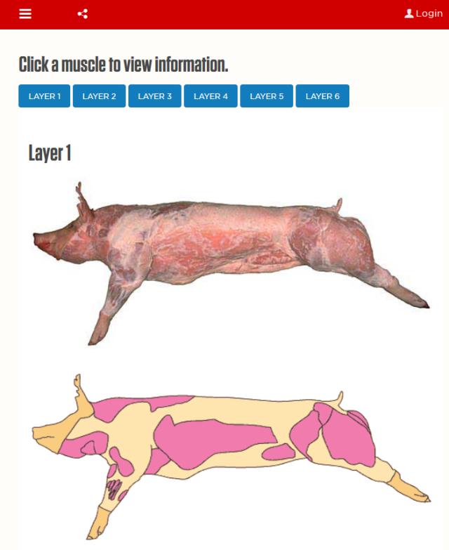 强烈安利视频大全,墙裂安利种草系列