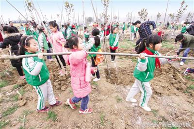 创森林城市享绿色家园视频,创国家森林城市宣传