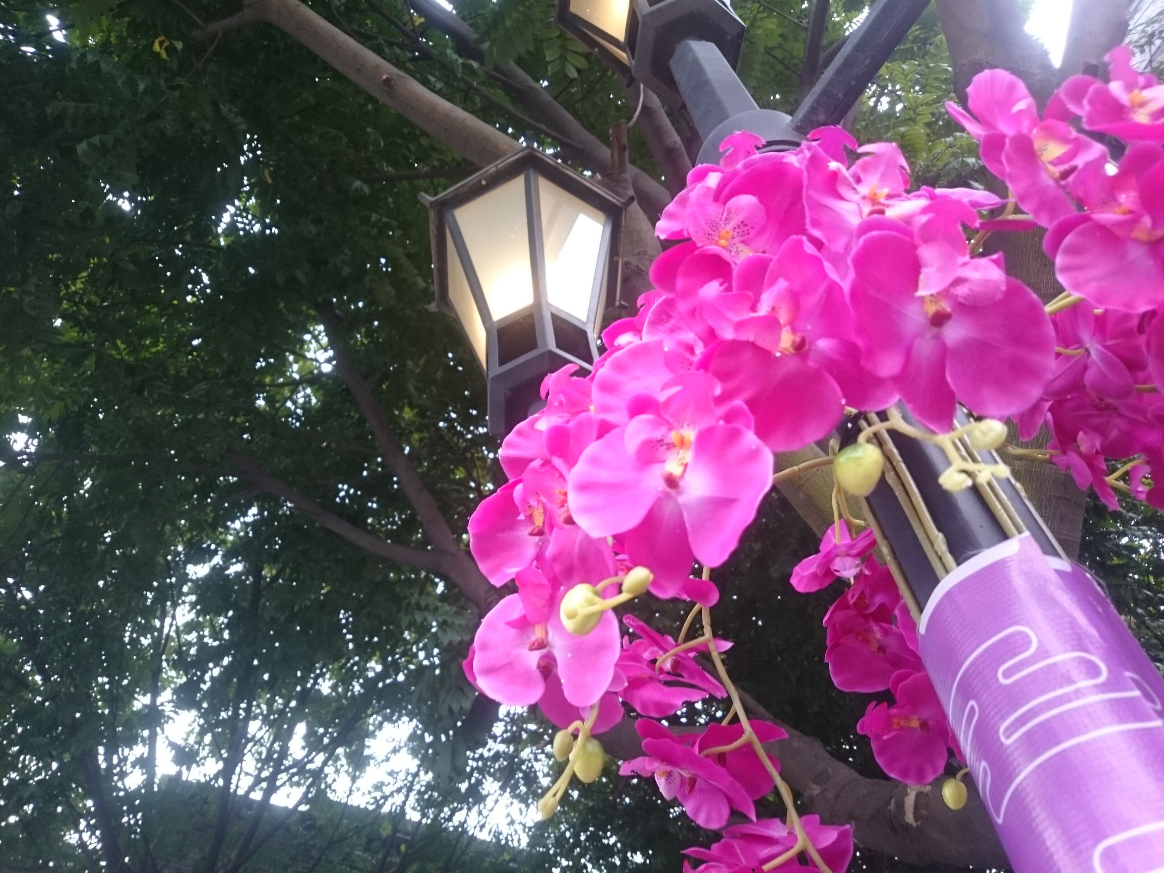 索尼xperia1刷机,曾经的索尼xperia1