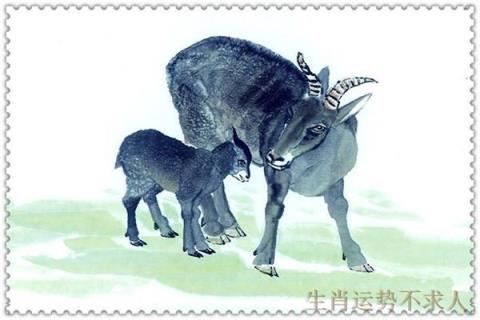 生肖羊有什么特别吗,生肖羊排几名