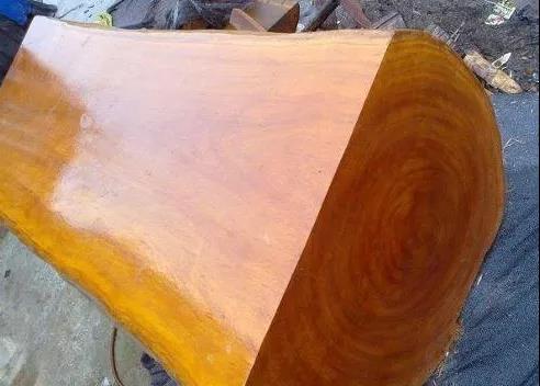 越南黄花梨的学名,海南黄花梨木中黄金之称