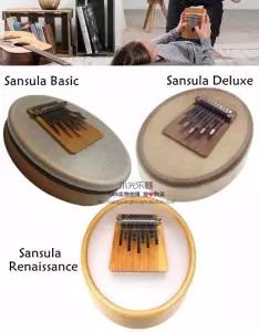 最适合成年人零基础入门的乐器,成本低一学就会的乐器