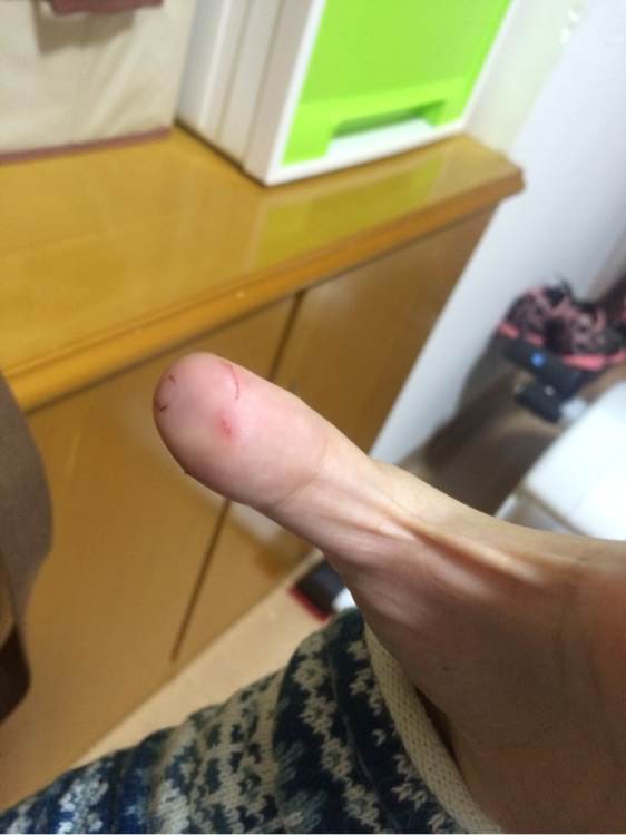 家里有个魔王,家里有只小魔王