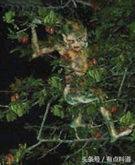 世界上真的有鬼吗30张鬼图,全球十大怪异鬼魂照片