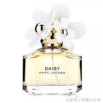 3.7活动全部攻略,3.7活动速刷成就