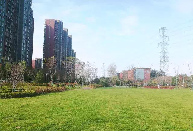 海淀后花园,海淀一层带花园的小区