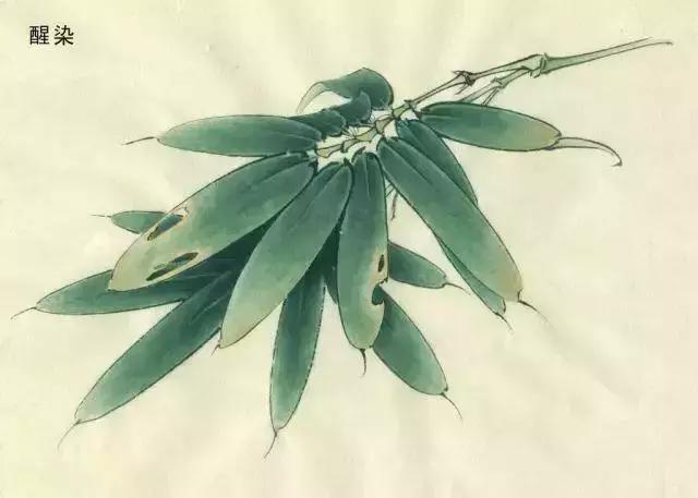 以写实造型为主的现代工笔人物画,工笔花鸟画写实精神的影响